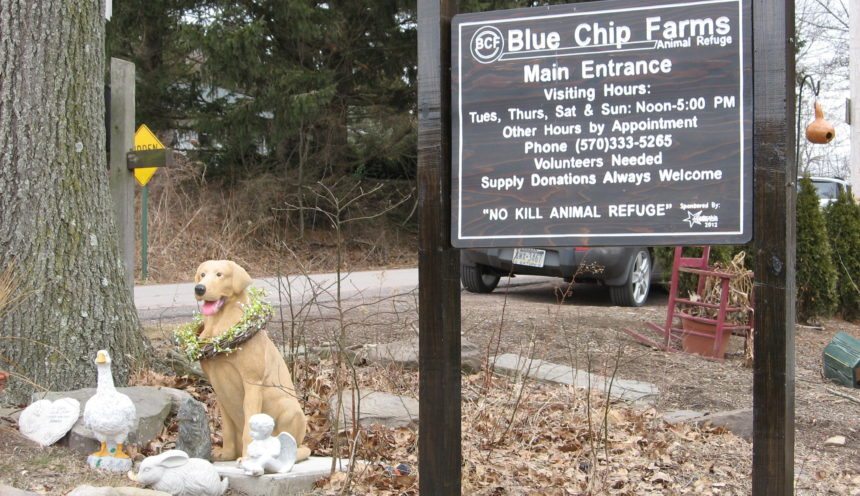 Sundance Vacations’ Employees Volunteer at Blue Chip Animal Farm