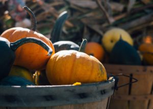 pumpkins-and-gourds-sundance-vacations-fall-festivals-in-michigan-sundance-vacations-travel-blog