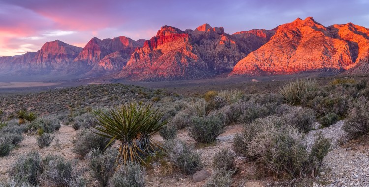 Red Rock Canyon outside of Las Vegas Things to do in Las Vegas Sundance Vacations Destinations