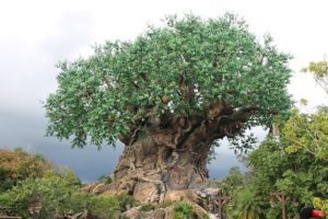 The World of Avatar will be in Animal Kingdom at Disney World soon!