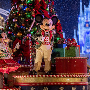 Holiday Season at Walt Disney World Florida