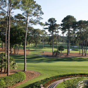 Must Play Golf Courses in South Carolina