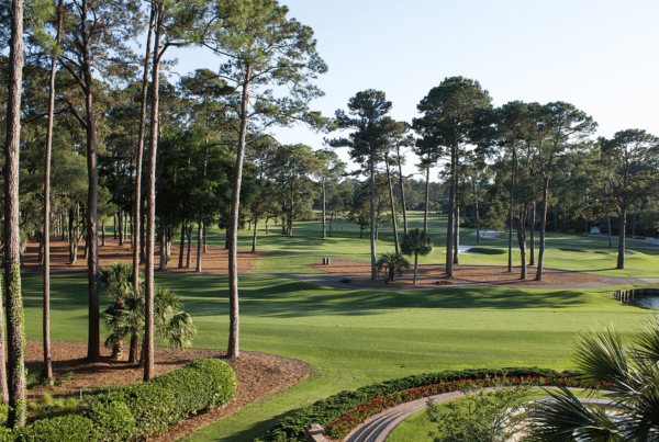 Must Play Golf Courses in South Carolina