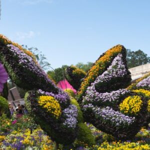2022 EPCOT International Flower and Garden Festival | Sundance Vacations