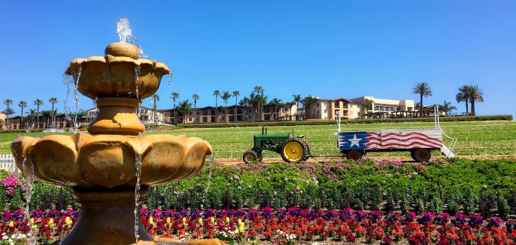 Carlsbad Ranch Tractor