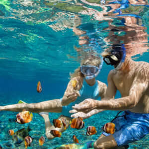 Discover Top Snorkeling Destinations Near Sundance Vacations Properties