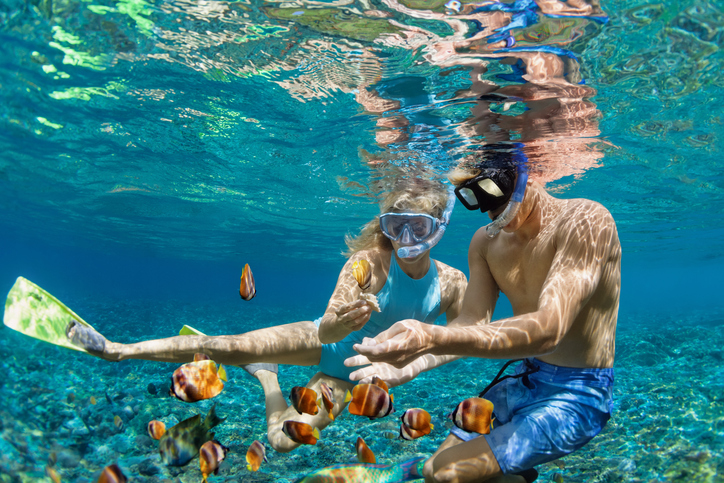 Discover Top Snorkeling Destinations Near Sundance Vacations Properties