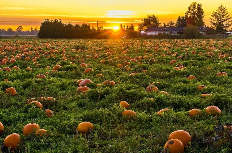 North or South: Travel this Fall with Sundance Vacations North or South: Travel this Fall with Sundance Vacations