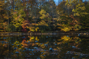 View of a lake during the fall in Pennsylvania 