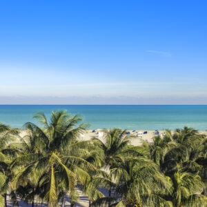 A Slice of Citrus, a Splash of Blue